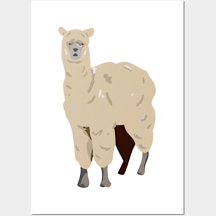 Alpaca Posters and Art